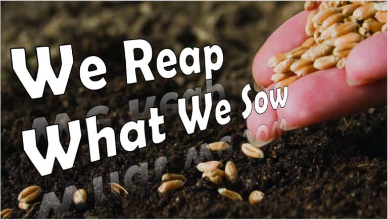 REAPING WHAT WE SOW